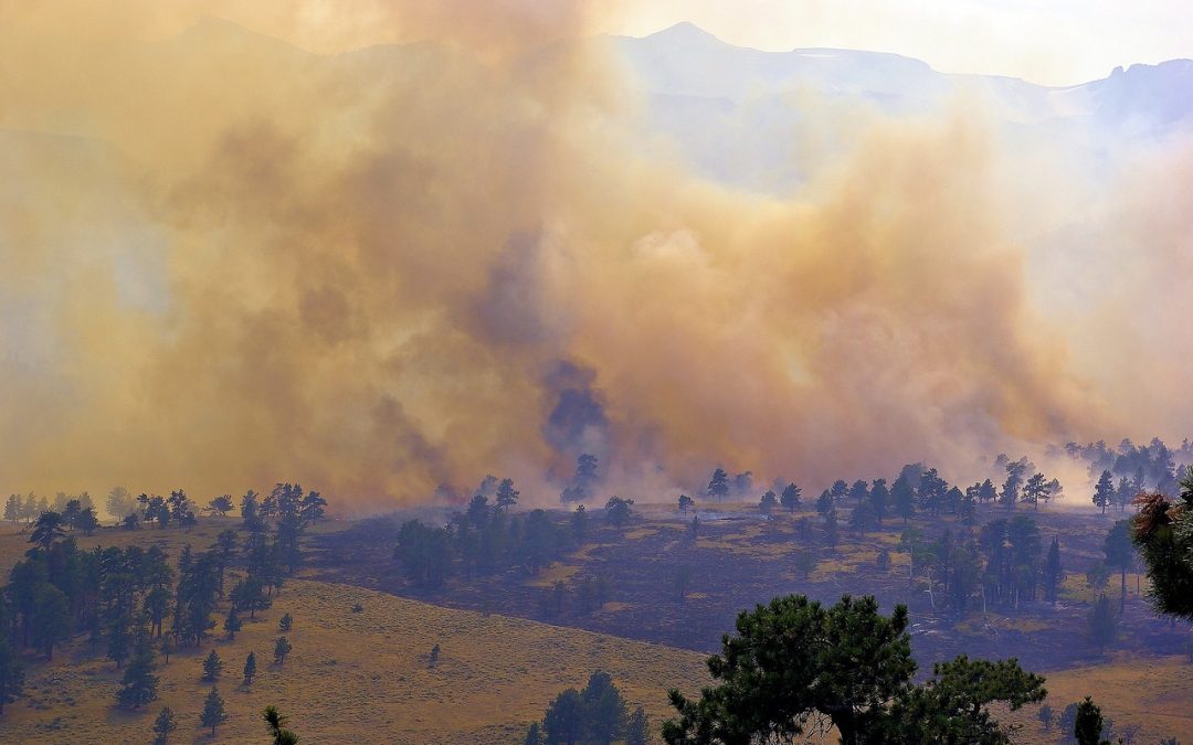 Pembersihan Drainase